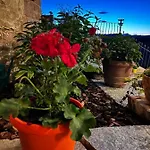 Apartmán Mamasita Andezeno