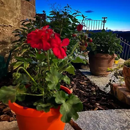 Apartman Mamasita Andezeno